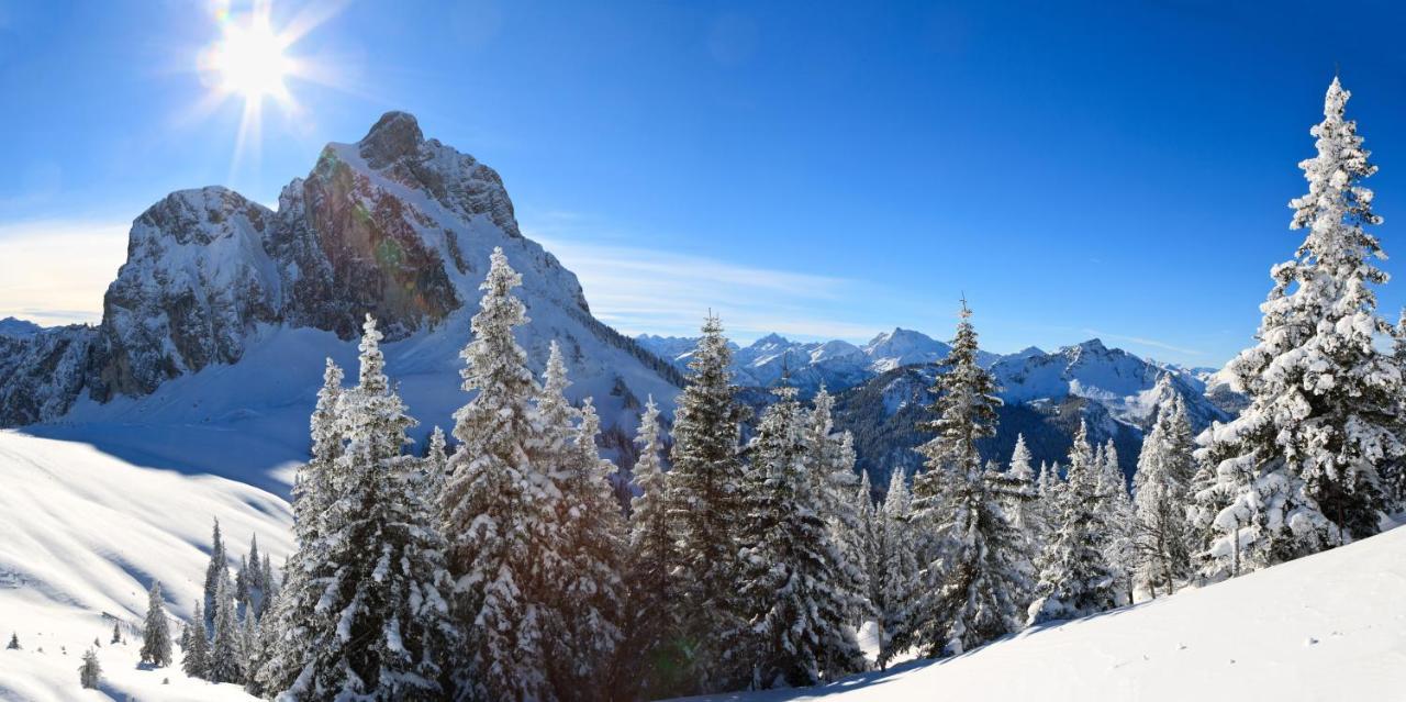 VitAllgäu-Neues Studio mit Königscard Pfronten Esterno foto
